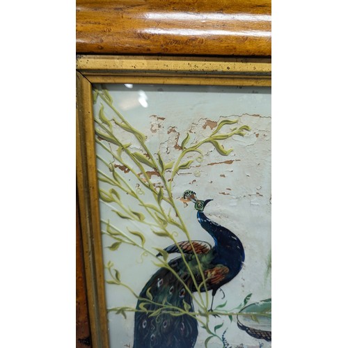 734 - A painting on glass of a fountain with peacocks and flowers - some deterioration as pictured - 55 x ... 