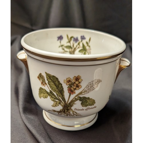 507 - Princess Royal Fine English Bone China Vases x 2 with Hand Decorated Insects and Flowers, plus a Lar... 