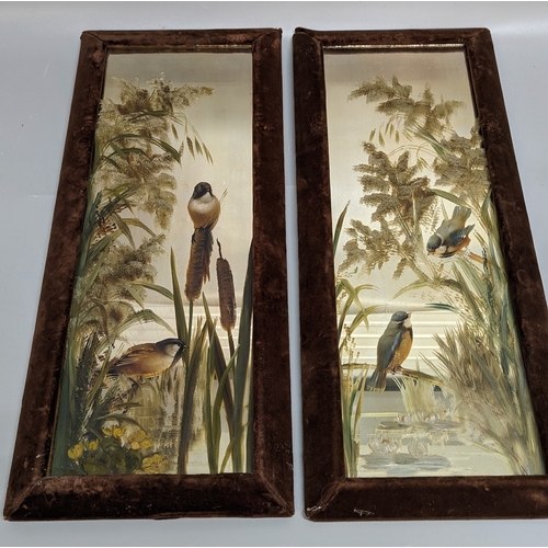 796 - A pair of hand painted mirrors - One mirror with Reed Buntings on & one with Great tits - both frame... 