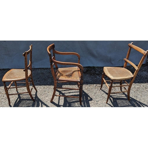 279 - Set of 3 Rattan chairs including one carver