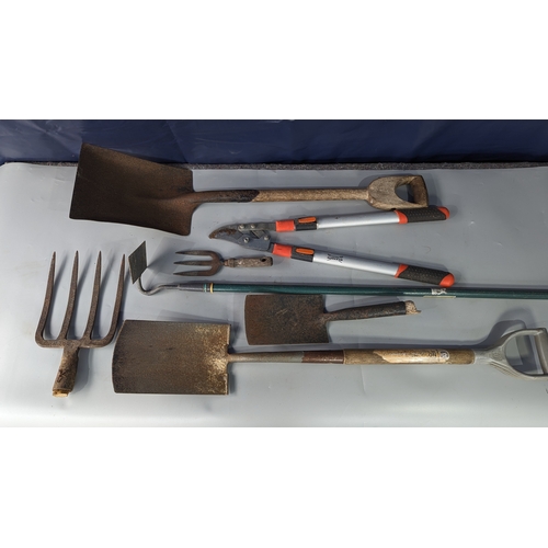 972 - Selection of garden tools including spade, hoe, loppers and more