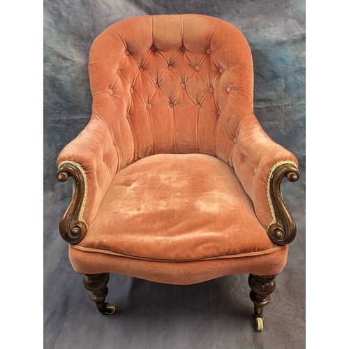 133 - A Victorian Walnut plush velvet button back armchair