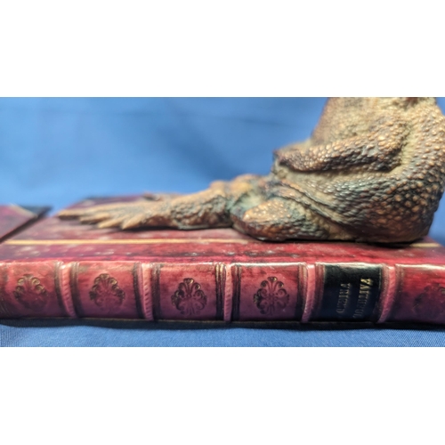 383 - Circa. 1950's Toad Bookends by Dummy Book Company.  Handpainted in the Uk,  inscribed on back : 