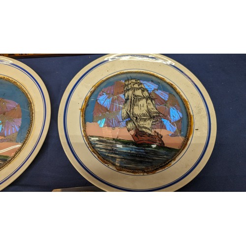 728 - An assortment of 'Butterfly Wing' pictures on plates and plaques plus a tray - From Rio De Janiero (... 