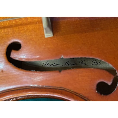 351 - 2x Modern Violins with cases - The Stentor Student - (1x small violin - 27cm body)