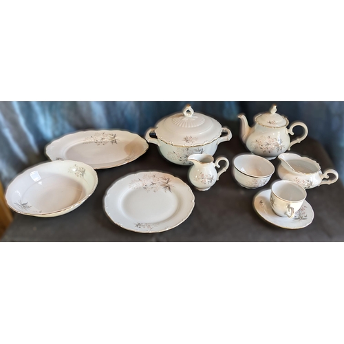 579 - Quantity of Czechoslovakian Dinner service