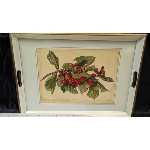 1174 - A Carlos Von Riefel Botanical print Prunis tray and two others from the country estate