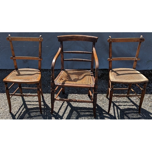 279 - Set of 3 Rattan chairs including one carver