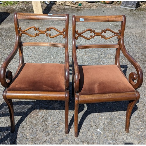 1120 - A Pair of Scroll Arm Carver Chairs