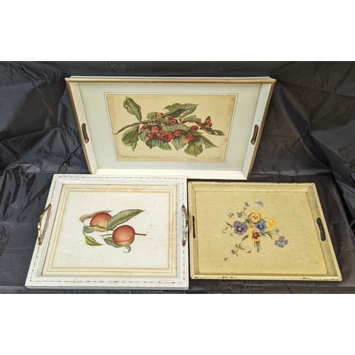 1174 - A Carlos Von Riefel Botanical print Prunis tray and two others from the country estate