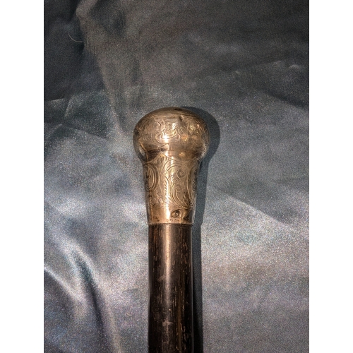 2 - 4 Silver Handled/Collared Walking Sticks