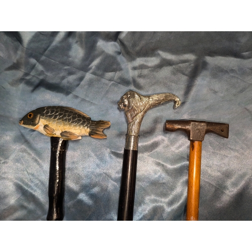 365 - 3 Unusually Handled Walking Sticks - Fish Lion And Dowty Hammerhead