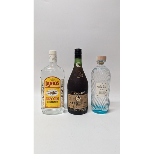 116D - Larios Dry Gin, Napoleon Brandy And Isle Of Harris Gin