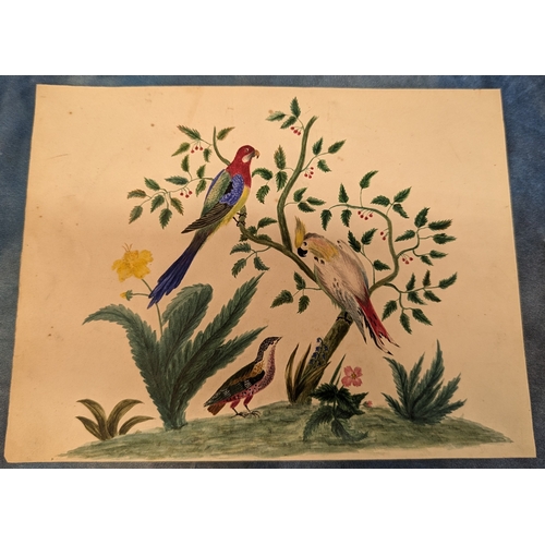 546 - An Assortment of Original Paintings of Birds. Property of a Gentleman