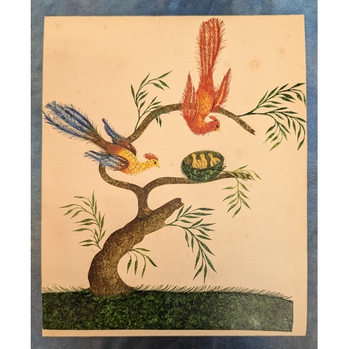 546 - An Assortment of Original Paintings of Birds. Property of a Gentleman