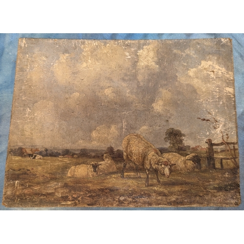 547 - An Oil on Canvas of Sheep and Cattle signed to reverse 