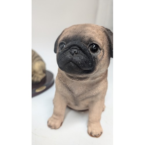 730 - Collie and Pug Ornaments x 5, Resin and Porcelain, Italian Collection, Aynsley and other