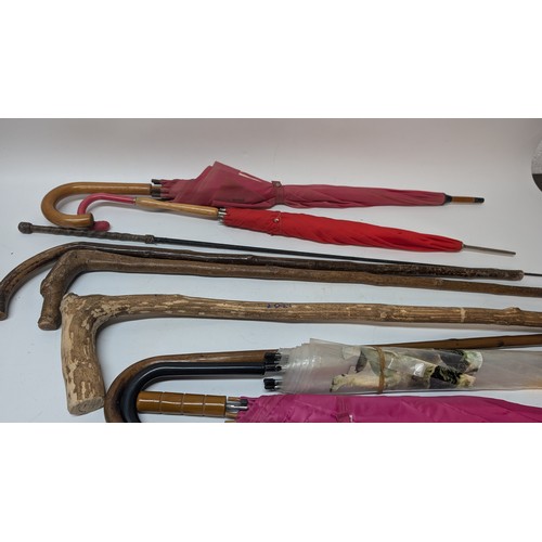 744 - 4 x Walking Sticks and 4 x Umbrellas