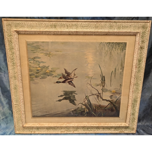 590 - A Signed Vernon Ward Print Of Ducks In Flight