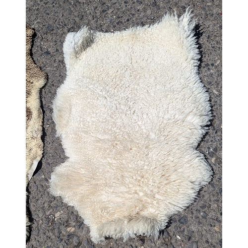 301 - 2 x Sheepskins 1 x Jacobs, 1 x White