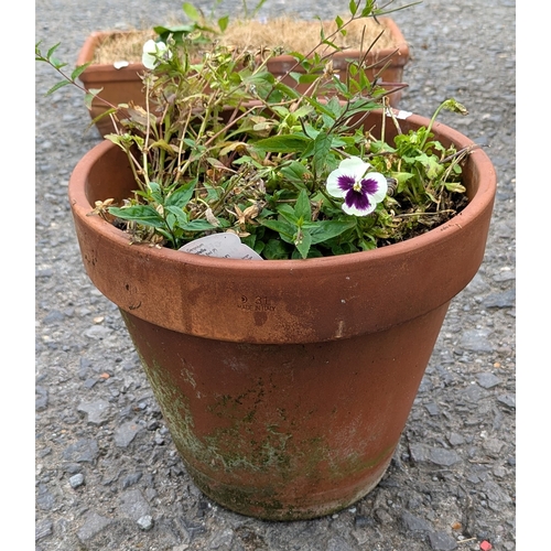 889 - 3 Large And 1 Small Plant Pots With Terracotta Trough Planter