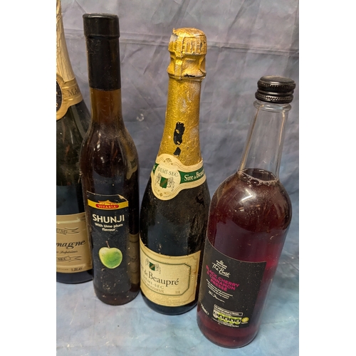 197 - Selection Of Alcoholic Beverages Including - Wine, Sherry And More