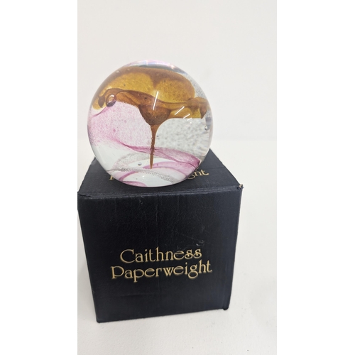 127 - A Collection of Vintage Paperweights:
- Caithness Glass Boxed Calypso Topaz
- Caithness Glass Boxed ... 