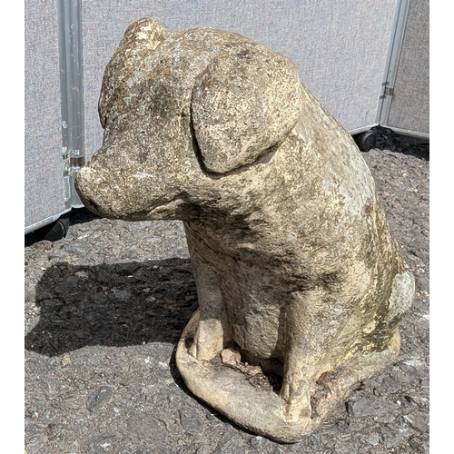 834 - Concrete Pig Garden Ornament - 43 x 43 x 36cm