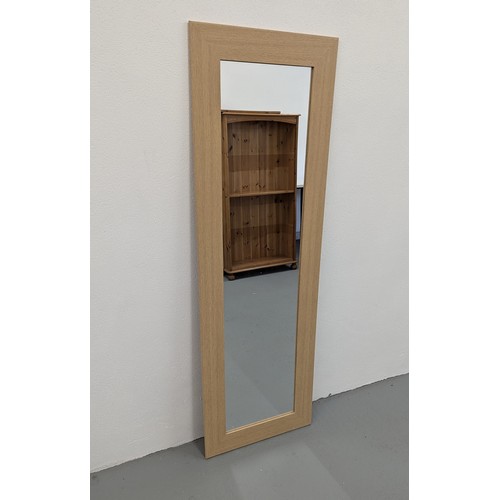 1009 - A Wall Hanging Mirror - 137 x 45cm