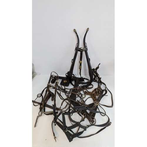 588 - A Quantity of Shire Horse Tack