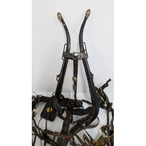 588 - A Quantity of Shire Horse Tack