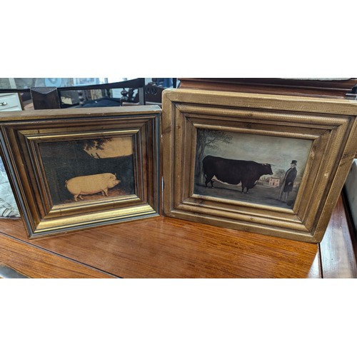 904 - 2x Animal Prints In Gilt Frames