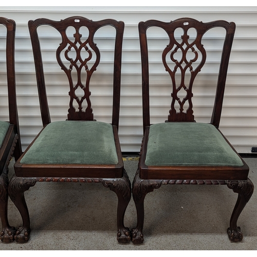 641 - 4 Antique Dining Chairs With Carved Detailing On Claw And Ball Feet