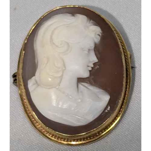 700 - A 9ct Gold Shell Cameo Brooch