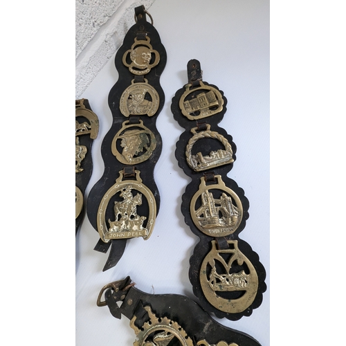 815 - Antique Horse Brasses and Straps