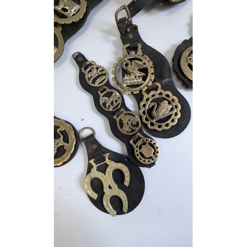 815 - Antique Horse Brasses and Straps