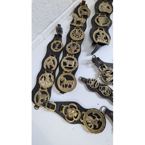 815 - Antique Horse Brasses and Straps