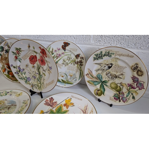 861 - A Selection of Collectors Plates inc. Large Caverswall China Webb & Bower Plates x 12 Plus Claymont ... 