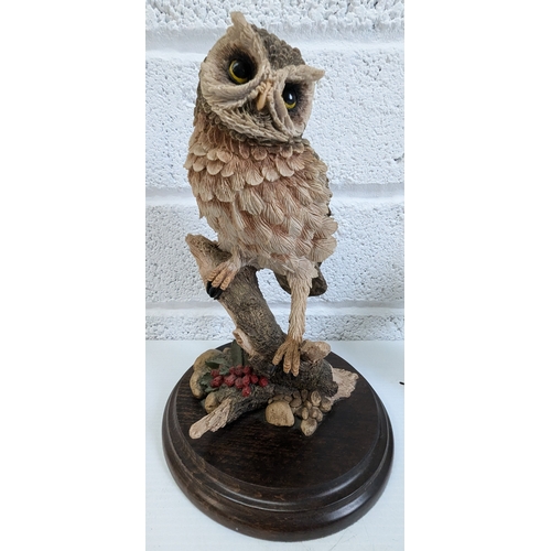 977 - Country Artists Little Owl and Barn Owl Ornaments