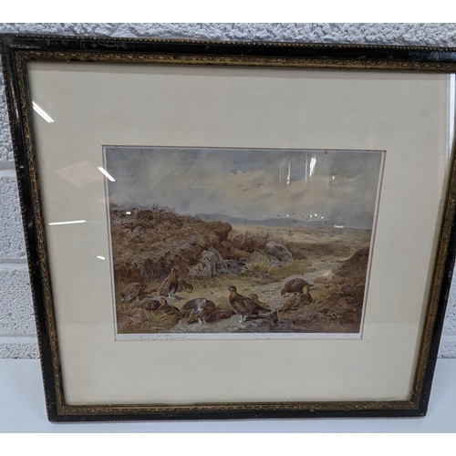 1023 - Archibald Thornburn Signed Print Of Grouse