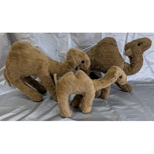 1847 - 3 Vintage Soft Toy Camels