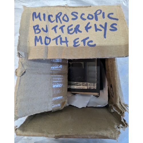 850 - Cardboard Box Of Glass Slides / Magic Lantern - Life Cycle Of A Butterfly