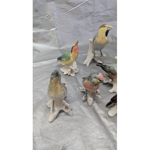 881 - 9x Karl Ens Porcelain Bird Ornaments