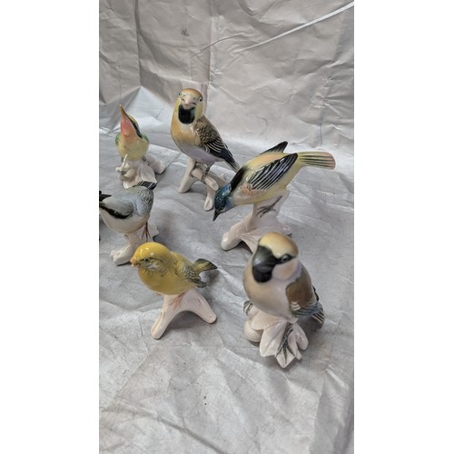 881 - 9x Karl Ens Porcelain Bird Ornaments