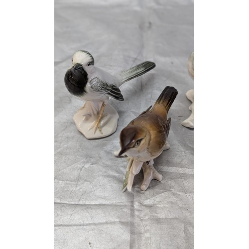 882 - 9x Karl Ens Porcelain Bird Ornaments