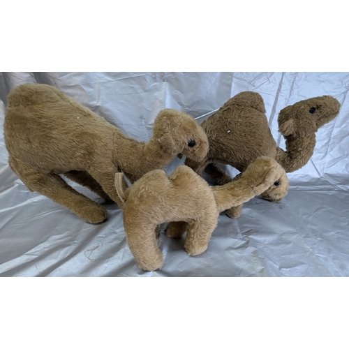 1847 - 3 Vintage Soft Toy Camels