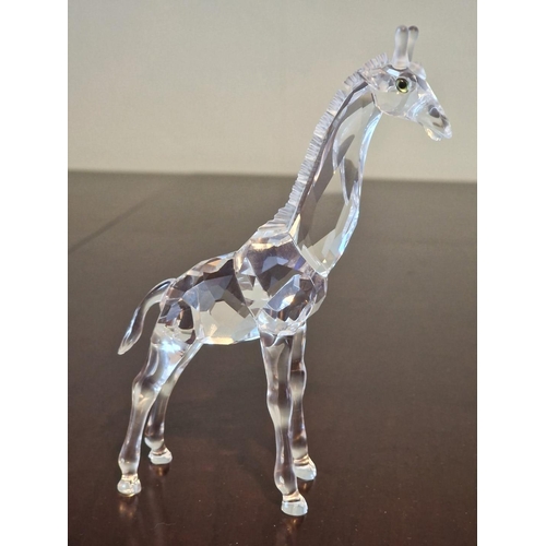 66 - Swarovski Crystal Baby Giraffe, from the 'African Wildlife' Themed Group, (# 236717 / 7603 000 002),... 