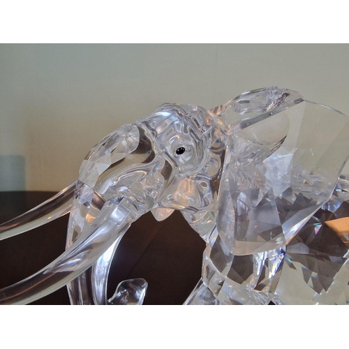 73 - Swarovski Silver Crystal 'Elephant', Numbered and Limited Edition 08462 / 10000, (2006), (# 854407 /... 