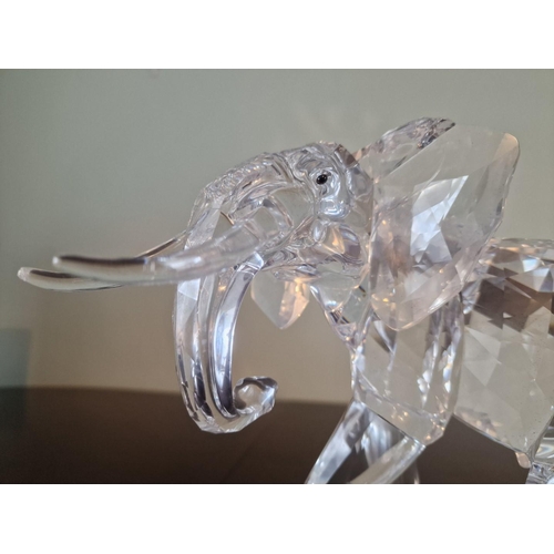 73 - Swarovski Silver Crystal 'Elephant', Numbered and Limited Edition 08462 / 10000, (2006), (# 854407 /... 