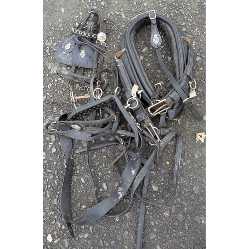 25 - An Ornate Set Of Horse Harnesses, Halters Etc.